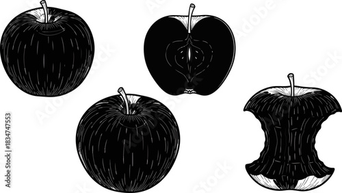 Line Drawing of Apples and Apple Core in Black and White Artistic Style