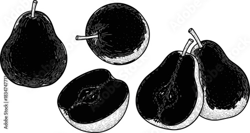 Black and White Sketch of Pears and Pear Halves on White Background