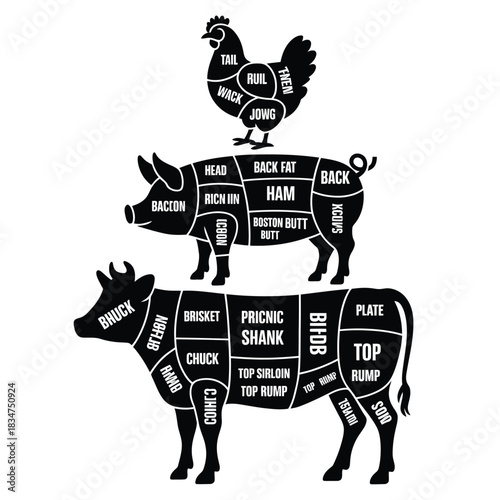 Butcher diagram of chicken pig and cow meat cuts
