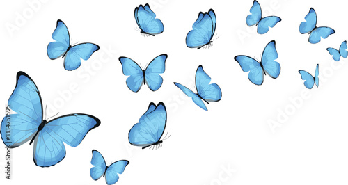 Beautiful blue butterfly swarm illustration featuring delicate wings in flight, elegant nature pattern design, flying butterflies artwork for decorative projects