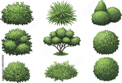 Vector Illustration Set of Diverse Green Shrubs and Bushes for Gardening, Landscaping, and Natural Environment Design Elements.