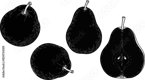 Black and White Line Drawing of Pears Set on White Background