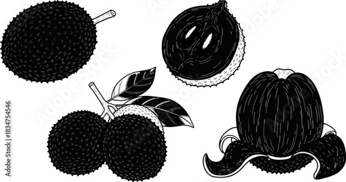 Black and White Illustration of Lychee Fruit and Peel in Line Drawing Style