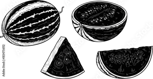 Watermelon Whole and Sliced in Black and White Line Drawing