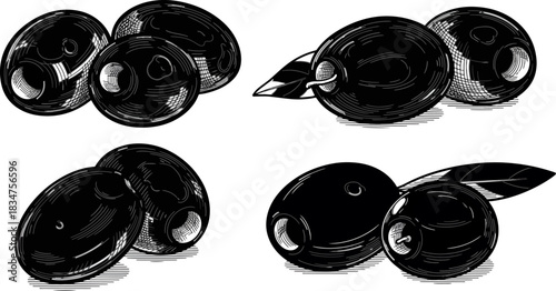 Black and White Olive Cluster Illustration with Leaves for Food and Culinary Design