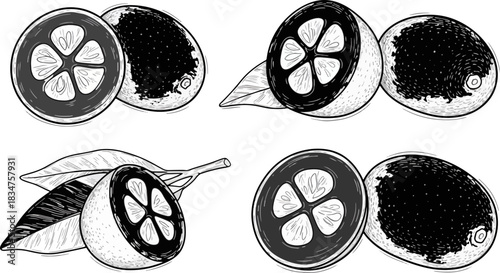 Black and White Citrus Fruit Illustration with Whole and Halved Lemons