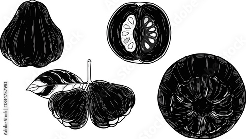 Hand-drawn Illustration of Pear and Tomato with Cross-section and Whole Fruit