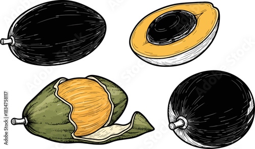 Illustration of Fresh Papaya Fruits with Halved and Whole Pieces