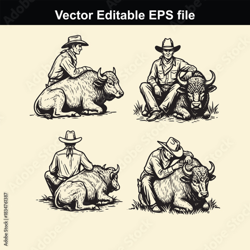 vintage style vector illustration set depicting four different poses of cowboys resting or sitting beside large domestic bulls or oxen, suitable for western themes