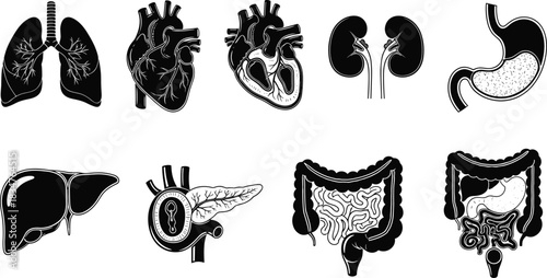 Black and white human internal organs anatomy vector illustration set for medicine health care, featuring heart, lungs, stomach, kidneys, liver, pancreas, and intestines symbols.