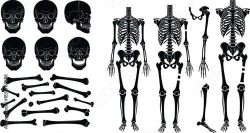 Black and white human internal organs anatomy vector illustration set for medicine health care, featuring heart, lungs, stomach, kidneys, liver, pancreas, and intestines symbols.