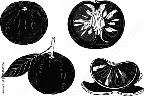 Black and White Illustration of Apples and Citrus Fruits for Cooking or Health Content