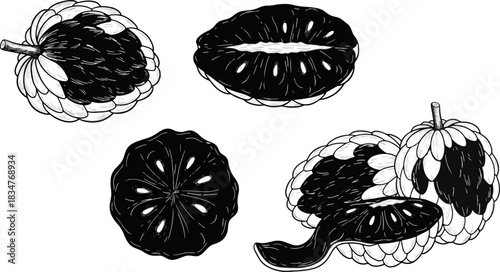 Black and White Illustration of Lychee Fruits with Sliced Halves