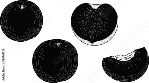 Black and White Illustration of Fresh Peaches and Peach Halves