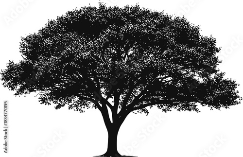 Minimalist black silhouette of a solitary tree with expansive spreading branches against a clean white background perfect for graphic design