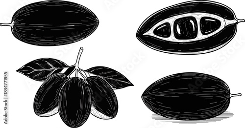 Black and White Illustration of Cocoa Pods and Beans