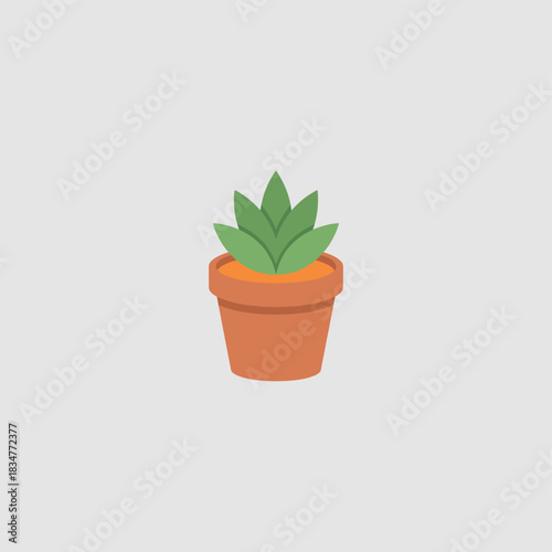 A potted succulent plant with green leaves placed in a brown clay pot, suitable for indoor decoration.