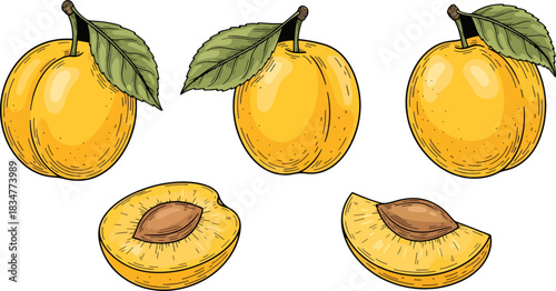 Fresh Yellow Apples with Leaves and Slices on White Background