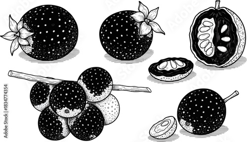 Black and White Illustration of Strawberries and Fruit Halves in Artistic Style