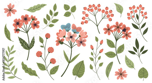 A beautiful and extensive collection of hand-drawn flowers berries and leaves in a flat design style for various projects.jpg