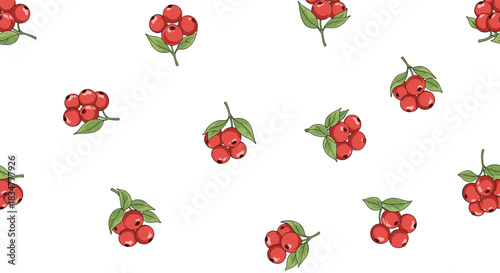 A simple and clean seamless background pattern featuring scattered clusters of red cranberries or cowberries with small leaves.jpg