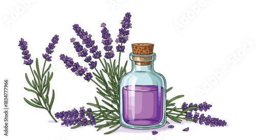 A charming illustration of a glass bottle of lavender essential oil surrounded by fresh purple lavender flowers and stems.jpg