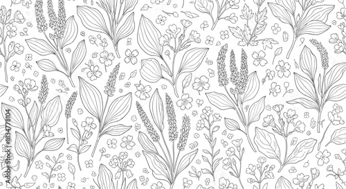 Dense and detailed seamless pattern of various hand-drawn medicinal herbs and wildflowers in a black and white line art style.jpg