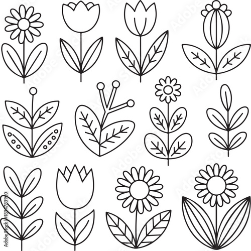 Floral Sketch Collection Delicate Botanical Line Art