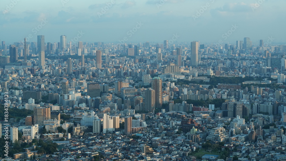 Fototapeta premium The panoramic Tokyo city view from the top of the skyscraper during the sunset time