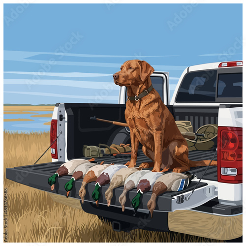 Red fox lab sitting on a pickup truck tailgate with harvested ducks and hunting gear in the field