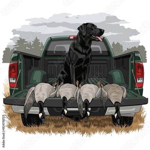 Black Lab hunting dog sitting on a truck tailgate with harvested Canada geese after a hunt