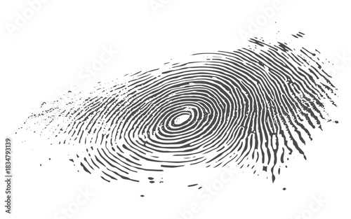 Detailed Fingerprint Pattern Close-Up, Intricate Biometric Line Texture, Identity Mark Background for Technology and Security Design