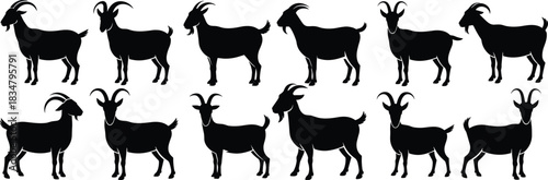 Goat silhouette vector set, farm animal clipart collection, livestock icon bundle, domestic goat shapes, black graphic