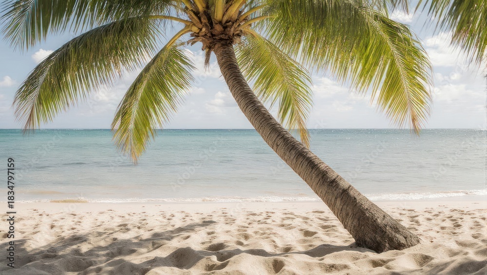 Obraz premium Tropical Paradise - Palm Tree on a Pristine White Sand Beach with Turquoise Ocean.