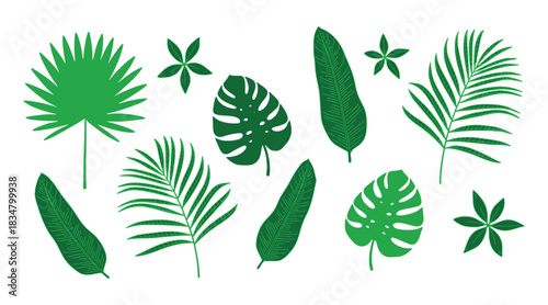Vibrant tropical leaf illustration featuring lush green foliage and exotic botanical elements perfect for summer and nature themed designs
