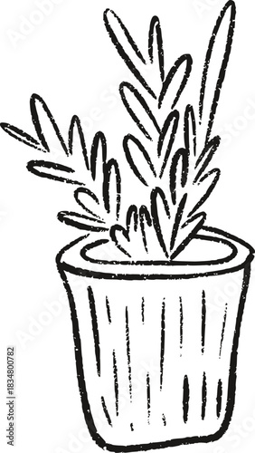 Sketch Christmas Rosemary Sprig