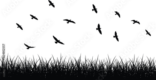 Flock of Flying Birds Silhouettes Over Detailed Grass Silhouette Vector Illustration, Representing Nature, Freedom, Migration, Spring, Wildlife, and Outdoor Scenery Design