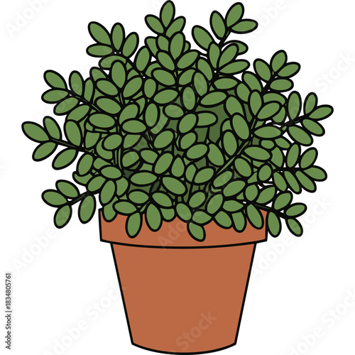 Green Leafy Bush Plant in a Terracotta Pot Isolated on a Black Background with Simple Cartoon Style Illustration