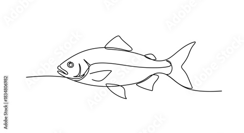 Elegant single line drawing displaying simplicity and minimalism of aquatic life