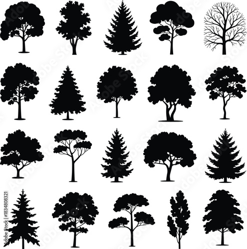 Massive Vector Collection of Tree Silhouettes: A Wide Variety of Deciduous, Coniferous, and Natural Forest Shapes for Nature, Landscape, and Eco-Themed Graphic Design