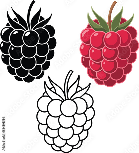 Set of Fresh Raspberry Vector Icons, Including Outline, Color, and Silhouette Styles, Ideal for Fruit Juice, Healthy Food, Berry Farm, or Summer Dessert Design