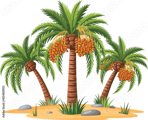 Three cartoon date palm trees with ripe brown fruit clusters growing on a sandy patch with small rocks and grass