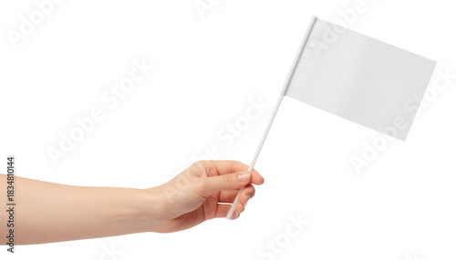 A hand holds a small white rectangular flag attached to a white stick against a bright white backdrop no background