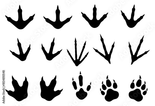 Collection of various animal footprints in black silhouette, including bird, reptile, and mammal paw tracks, vector illustration