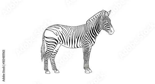 Striking black and white zebra artwork stands out with its unique striped pattern