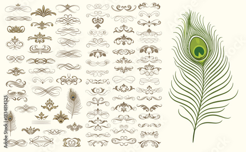 Collection of hand drawn wedding dividers. Vector calligraphic lines, vintage borders and peacock feathers. Vector isolated flourish ink elements.