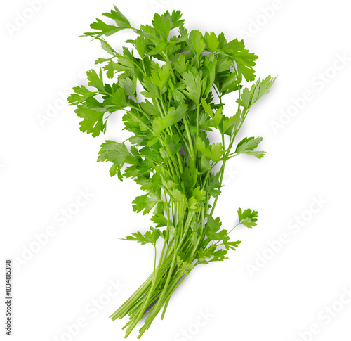 a bunch of parsley on a white isolated background