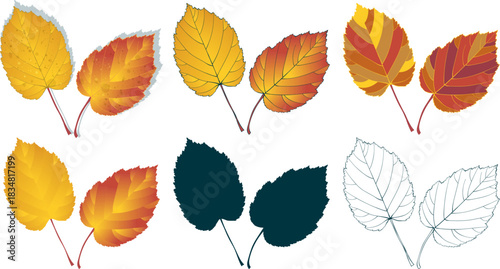 Set of hand-drawn red-yellow autumn leaves on transparent background. Flat and line styles vector illustrations.
