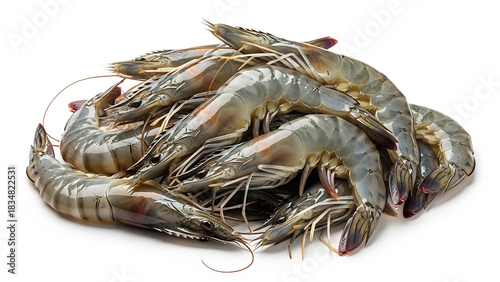 Fresh Raw Whole Shrimp: Premium Seafood for Grilling and Cooking
