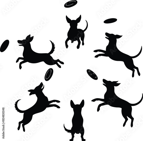 Canine Acrobatics, Frisbee Fun Silhouettes, Circle of Play, Black Silhouette of Dogs Catching Frisbees, Canine Frisbee Play, Dogs Jumping for Flying Discs, silhouette, vector, illustration.